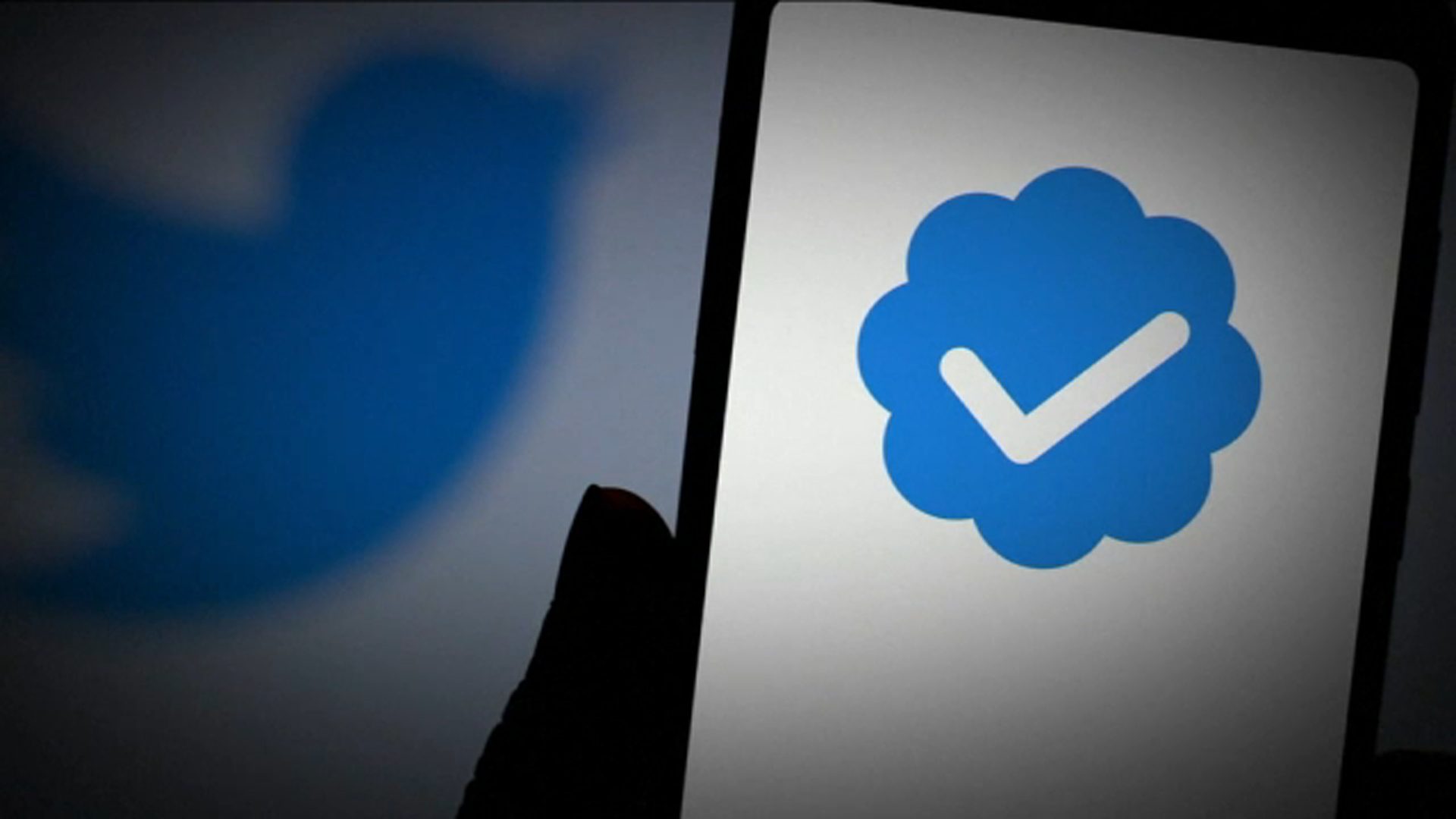 Twitter Removes Verification Badges From Inactive Or Incomplete Accounts The Technology Express 1750